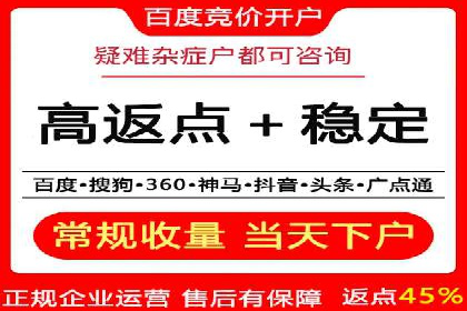 搜索引擎关键词竞价排名的策略调整与案例